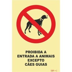 Fotoluminescente - Proibida a entrada e animais exceto cães guias